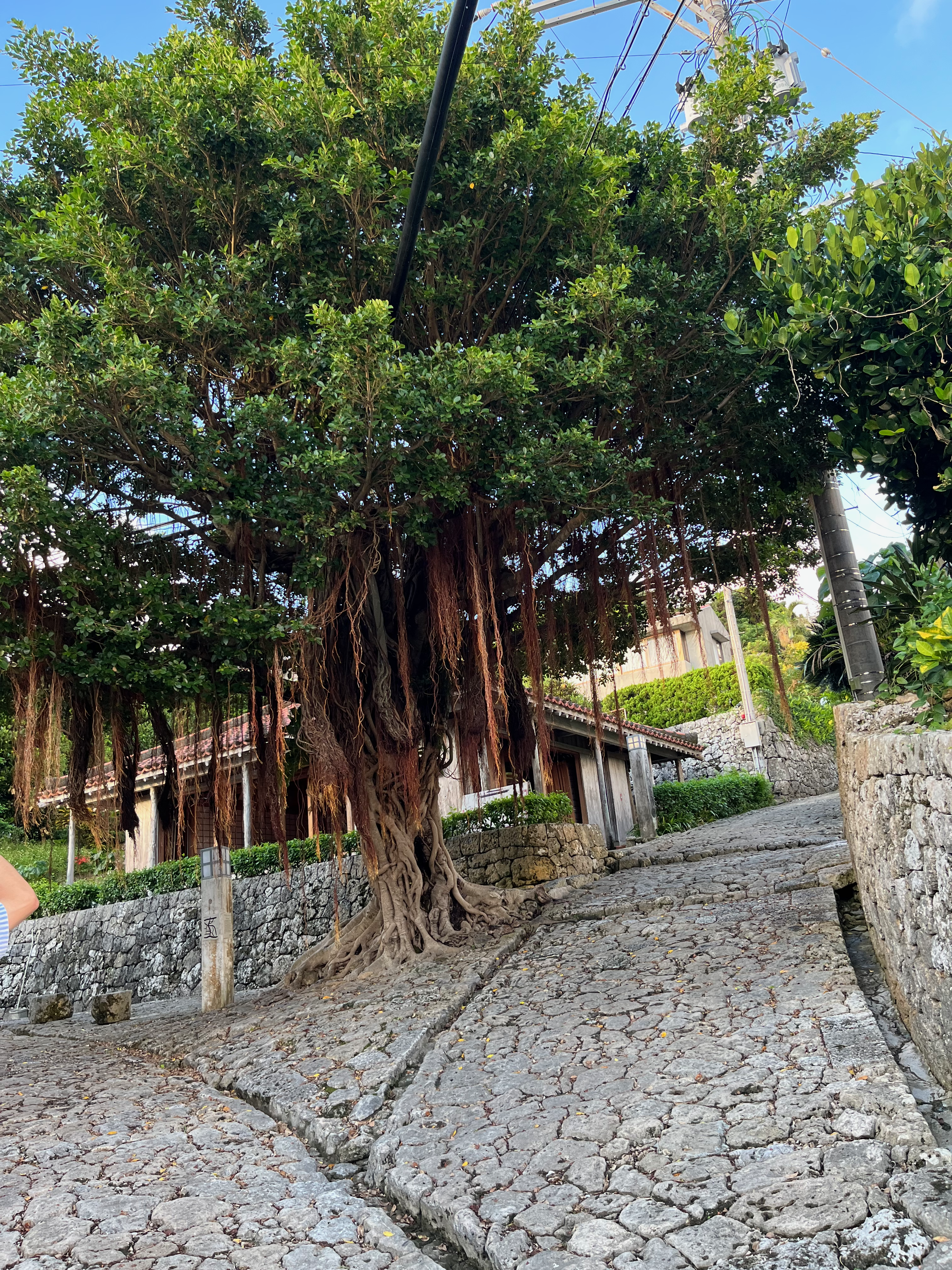 Naha_3